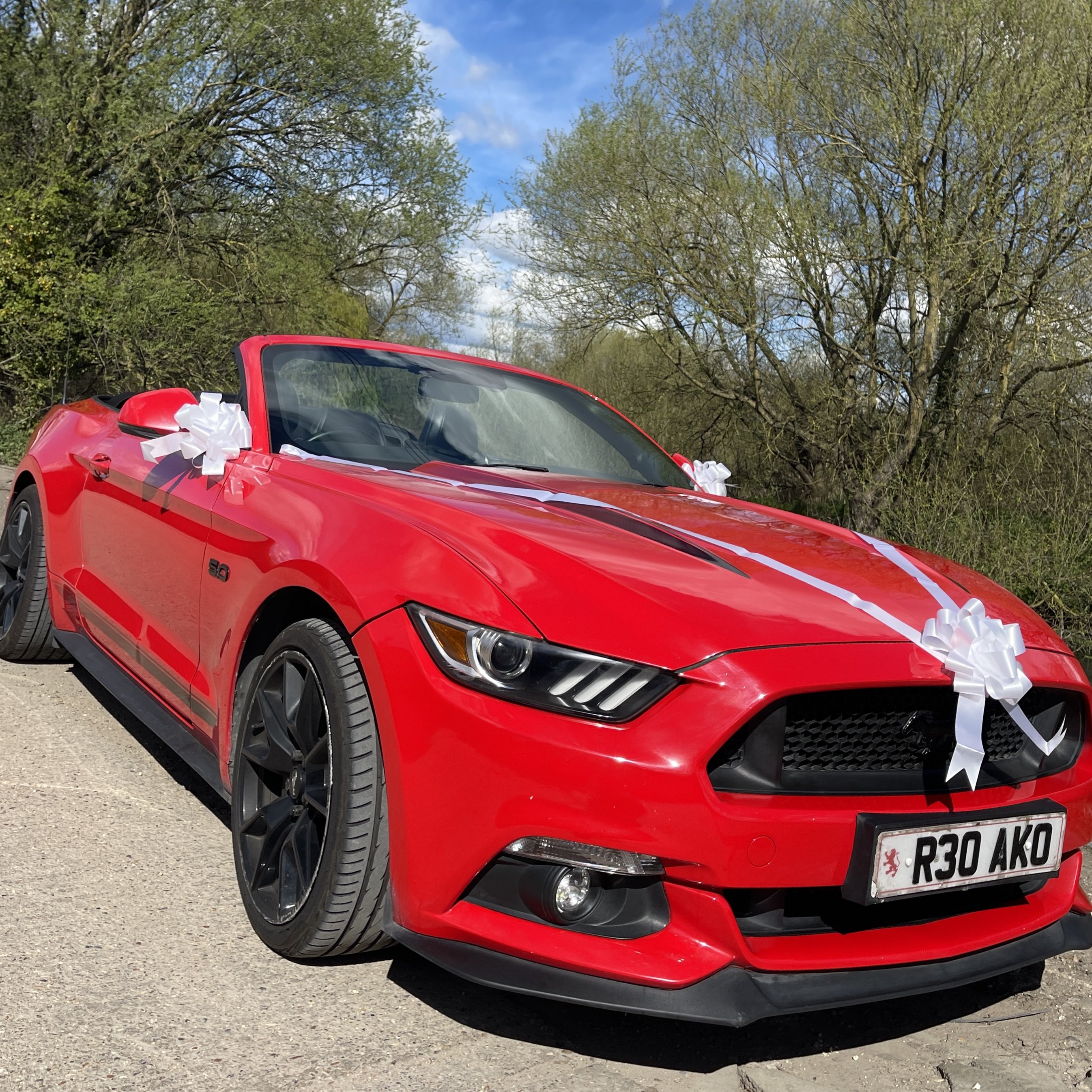 Red Mustang for hire