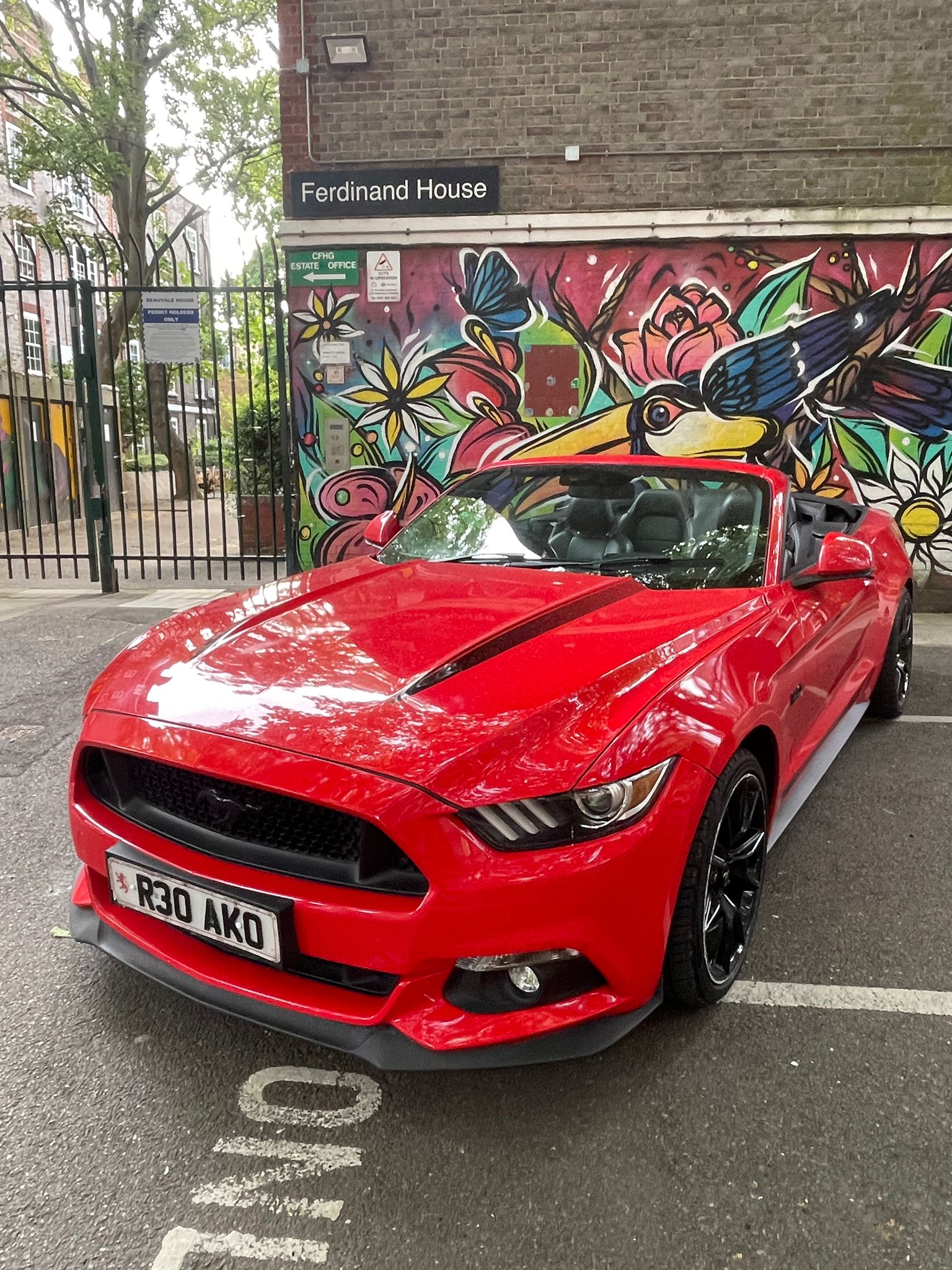 Red Mustang for hire